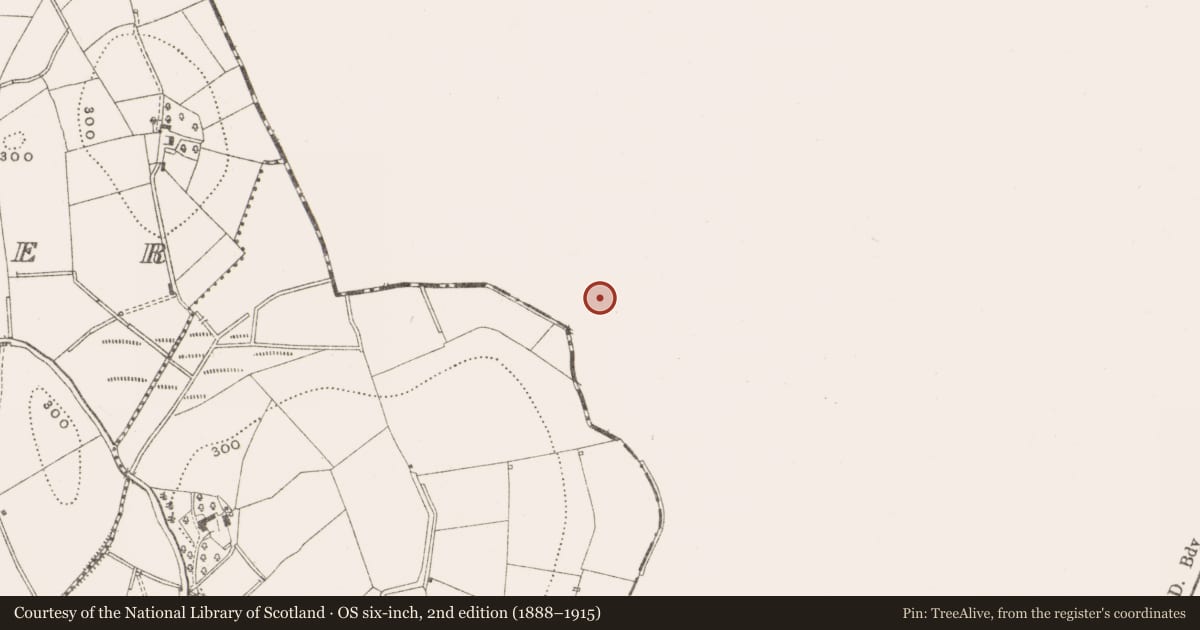 Ordnance Survey six-inch map, 2nd edition (1888–1915) covering the location of Ringfort - rath, Freame Mount Demesne, County Monaghan, with a pin at the register's coordinates