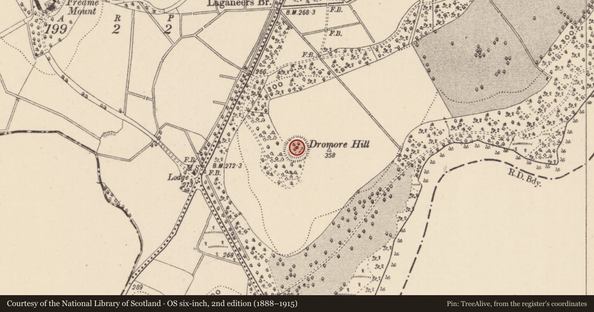 Ordnance Survey six-inch map, 2nd edition (1888–1915) covering the location of Ringfort - rath, Dawson Grove Demesne, County Monaghan, with a pin at the register's coordinates