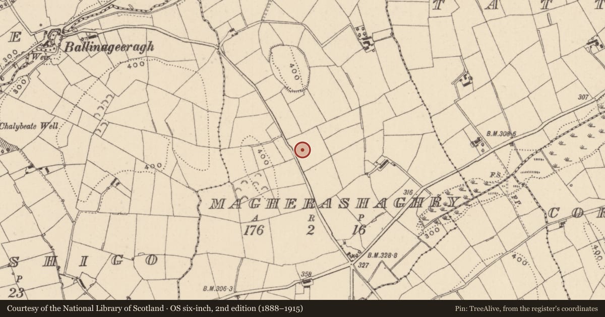 Ordnance Survey six-inch map, 2nd edition (1888–1915) covering the location of Linear earthwork, Magherashaghry, County Monaghan, with a pin at the register's coordinates