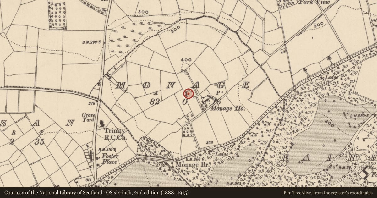 Ordnance Survey six-inch map, 2nd edition (1888–1915) covering the location of Ringfort - rath, Monage, County Monaghan, with a pin at the register's coordinates