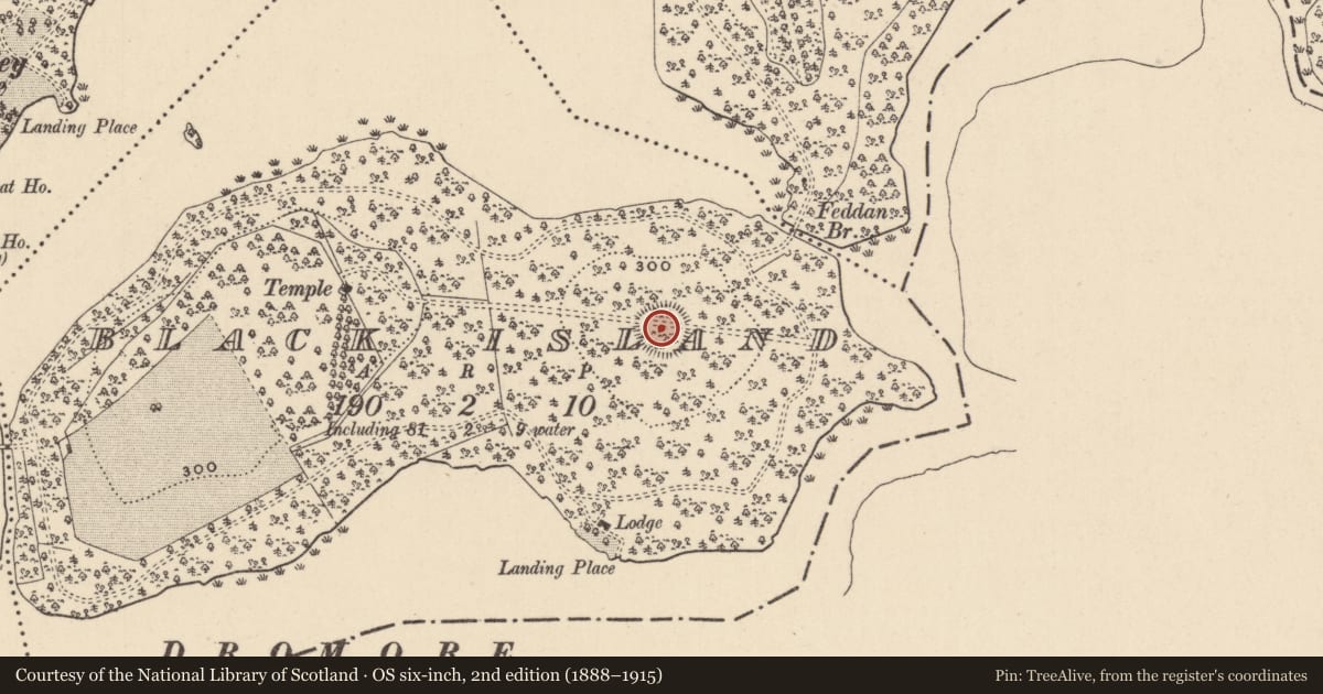Ordnance Survey six-inch map, 2nd edition (1888–1915) covering the location of Ringfort - rath, Black Island (Dartree by, County Monaghan, with a pin at the register's coordinates