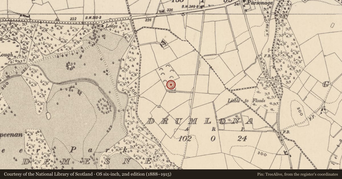 Ordnance Survey six-inch map, 2nd edition (1888–1915) covering the location of Ringfort - rath, Drumlona, County Monaghan, with a pin at the register's coordinates