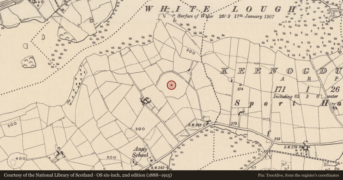 Ordnance Survey six-inch map, 2nd edition (1888–1915) covering the location of Burial ground, Anny (Creemorne by, County Monaghan, with a pin at the register's coordinates