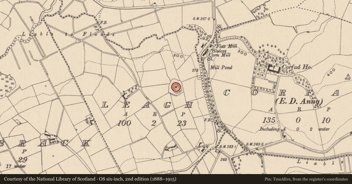 Ordnance Survey six-inch map, 2nd edition (1888–1915) covering the location of Ringfort - rath, Leagh, County Monaghan, with a pin at the register's coordinates