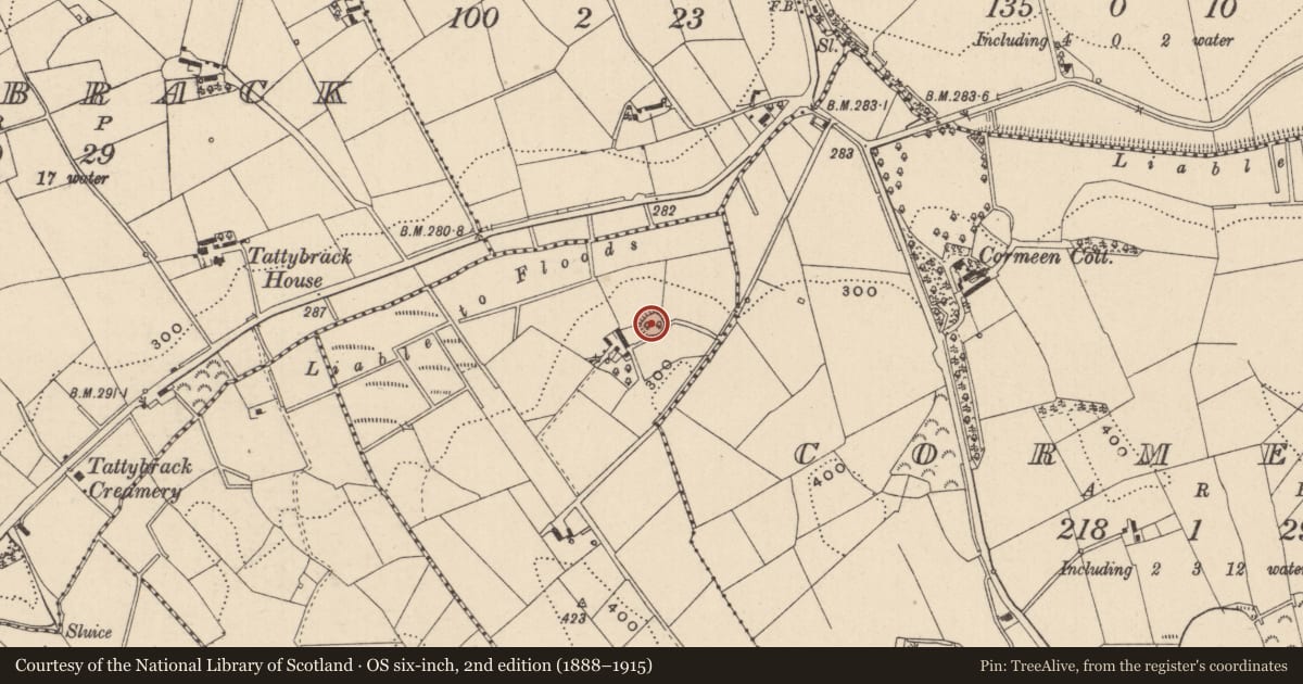 Ordnance Survey six-inch map, 2nd edition (1888–1915) covering the location of Ringfort - rath, Mount Carmel, County Monaghan, with a pin at the register's coordinates