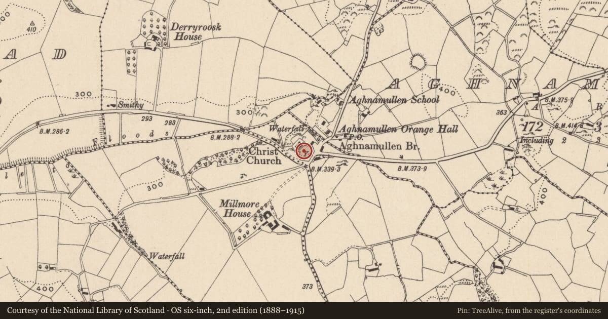 Ordnance Survey six-inch map, 2nd edition (1888–1915) covering the location of Graveyard, Moyle More, County Monaghan, with a pin at the register's coordinates