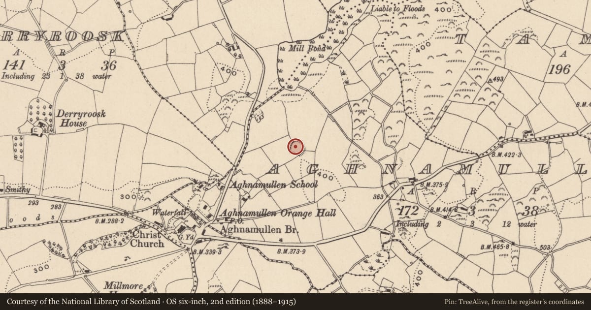 Ordnance Survey six-inch map, 2nd edition (1888–1915) covering the location of Ringfort - rath, Aghnamullen, County Monaghan, with a pin at the register's coordinates