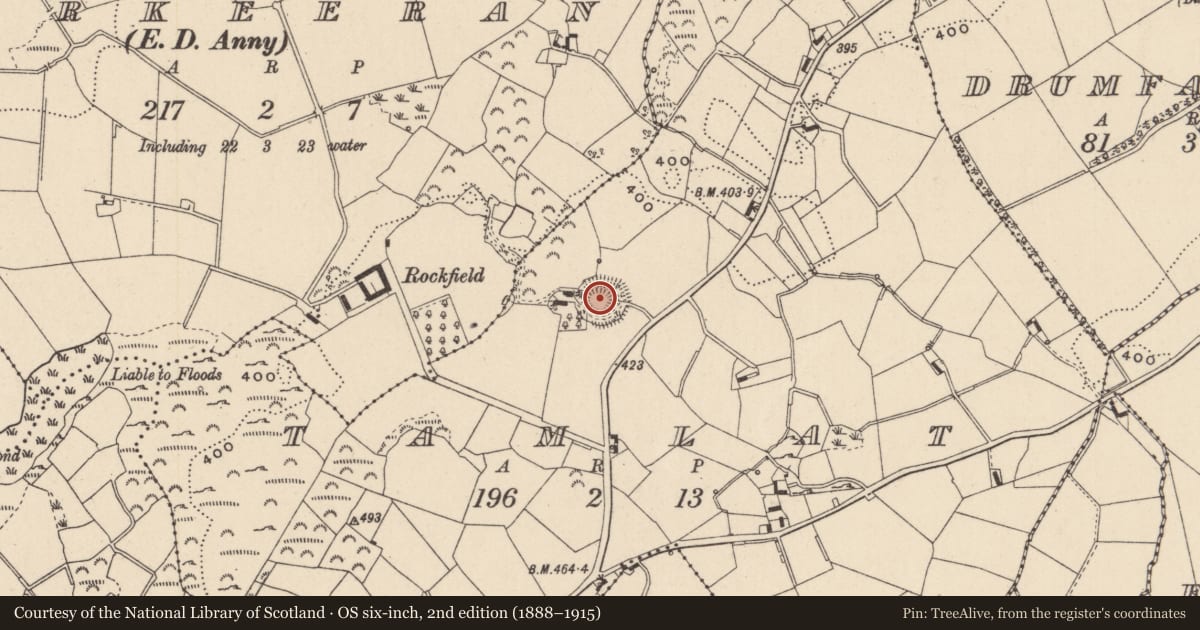 Ordnance Survey six-inch map, 2nd edition (1888–1915) covering the location of Ringfort - rath, Tamlat, County Monaghan, with a pin at the register's coordinates