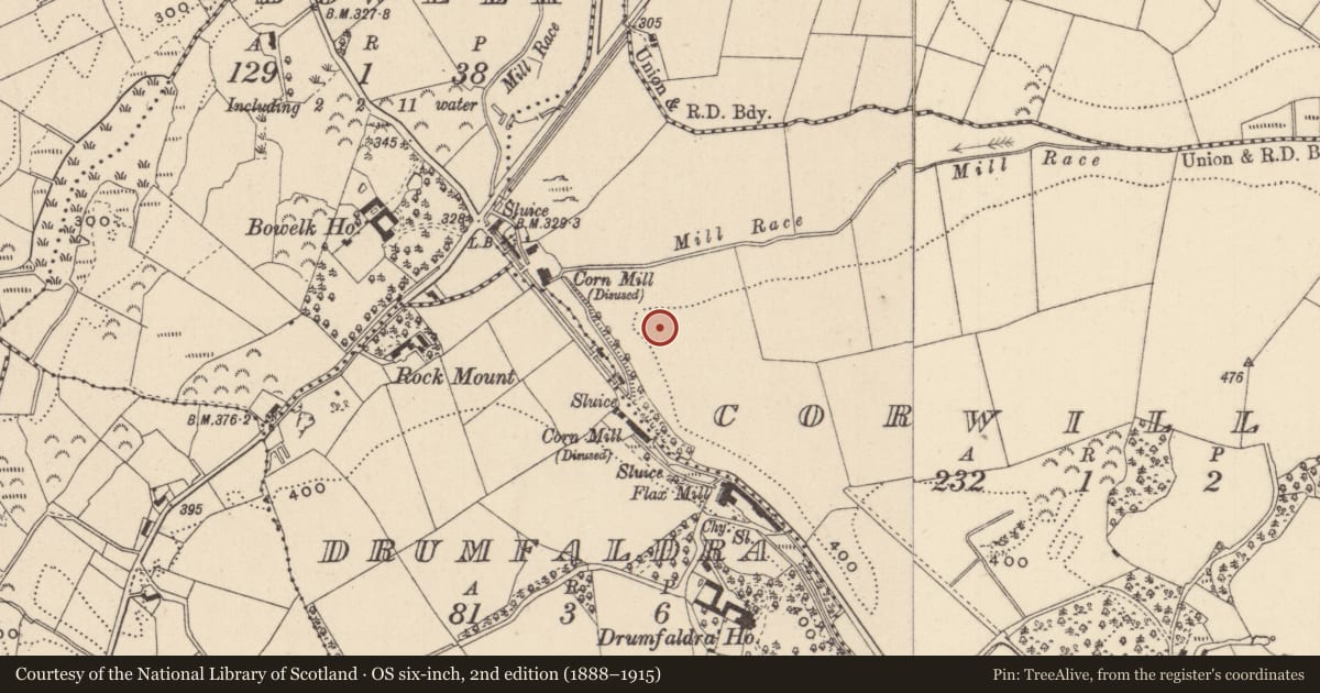Ordnance Survey six-inch map, 2nd edition (1888–1915) covering the location of Ringfort - rath, Corwillin, County Monaghan, with a pin at the register's coordinates