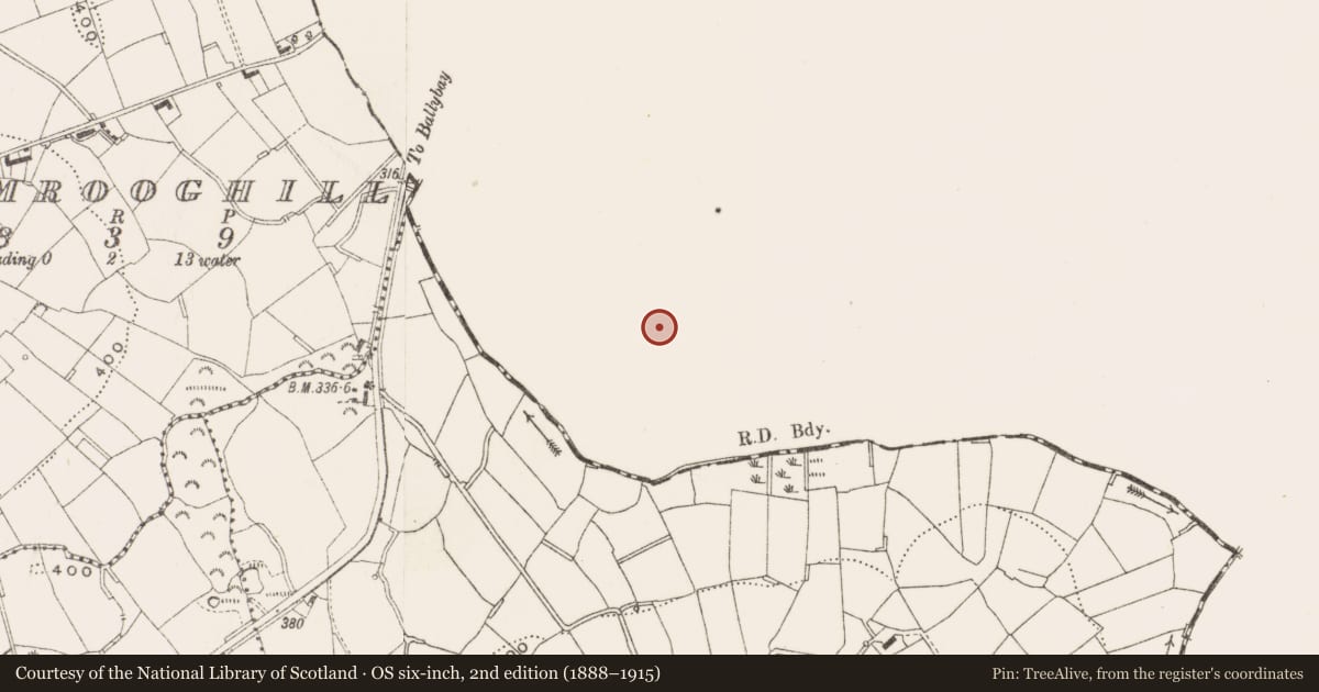 Ordnance Survey six-inch map, 2nd edition (1888–1915) covering the location of Ringfort - rath, Moylemuck, County Monaghan, with a pin at the register's coordinates