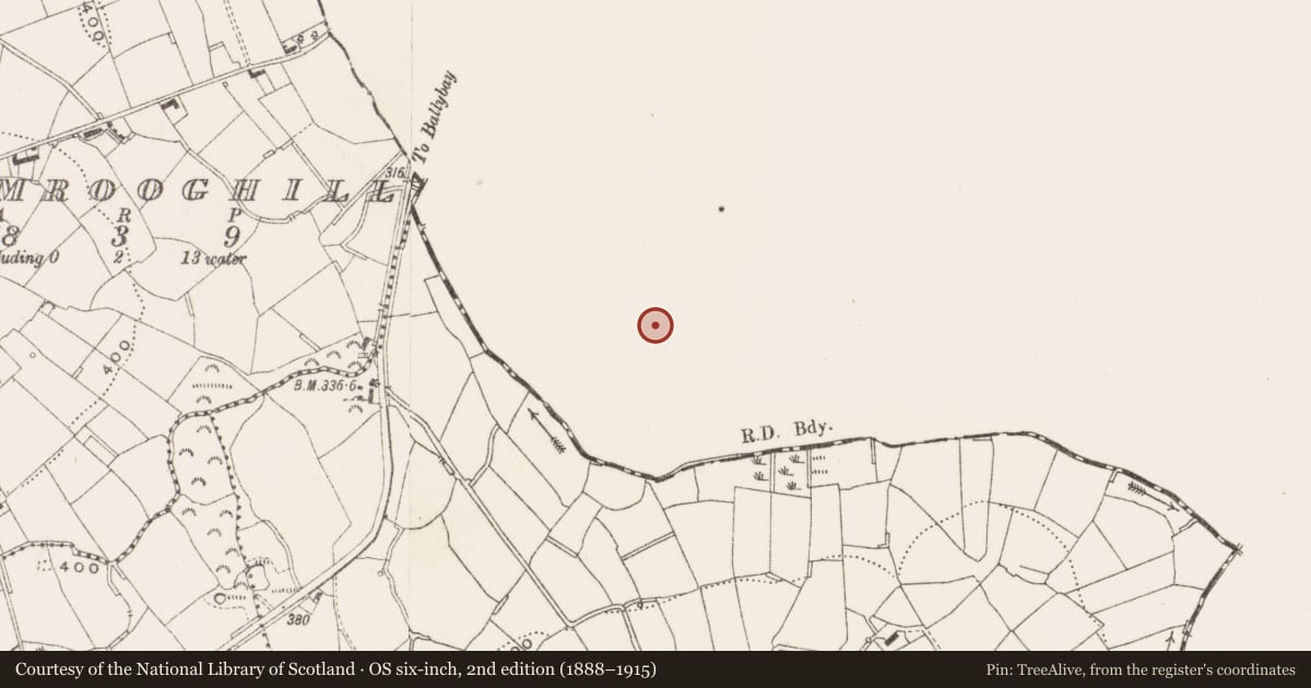 Ordnance Survey six-inch map, 2nd edition (1888–1915) covering the location of Souterrain, Moylemuck, County Monaghan, with a pin at the register's coordinates