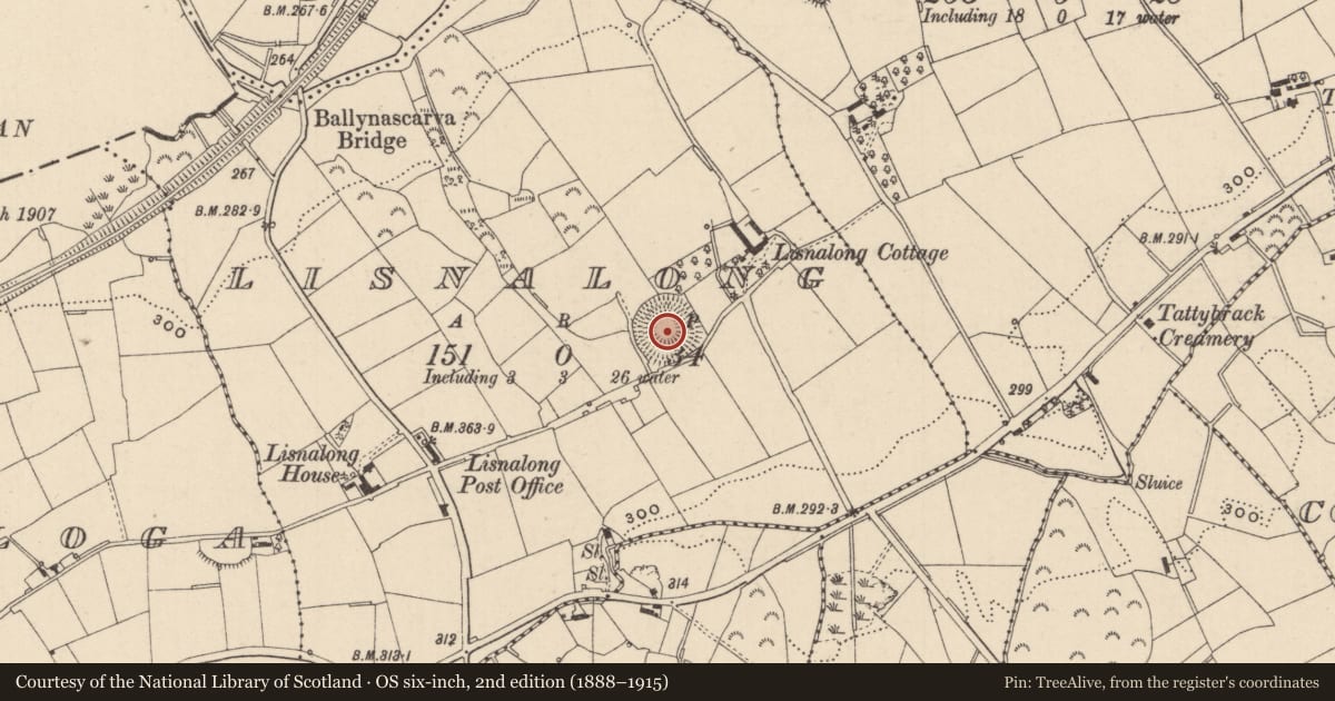 Ordnance Survey six-inch map, 2nd edition (1888–1915) covering the location of Ringfort - rath, Lisnalong, County Monaghan, with a pin at the register's coordinates