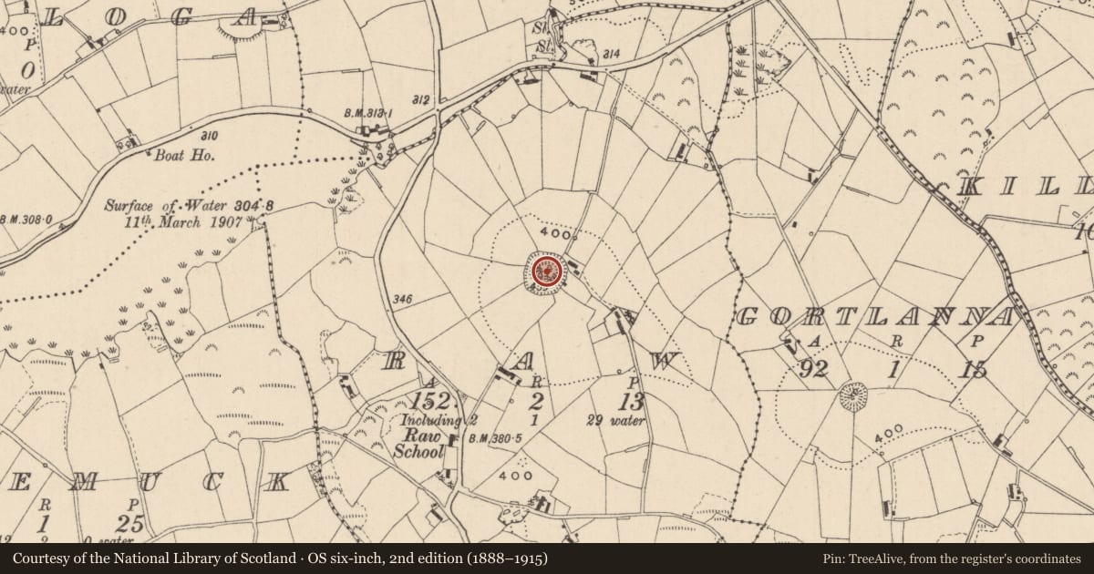 Ordnance Survey six-inch map, 2nd edition (1888–1915) covering the location of Ringfort - rath, Raw, County Monaghan, with a pin at the register's coordinates