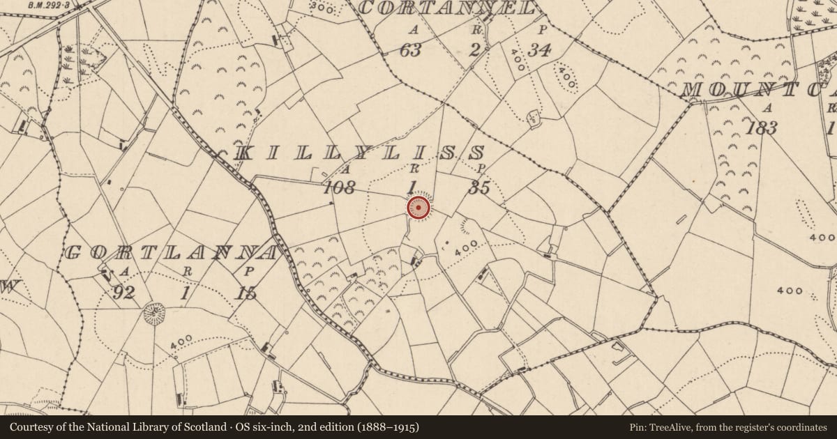 Ordnance Survey six-inch map, 2nd edition (1888–1915) covering the location of Ringfort - rath, Killyliss, County Monaghan, with a pin at the register's coordinates