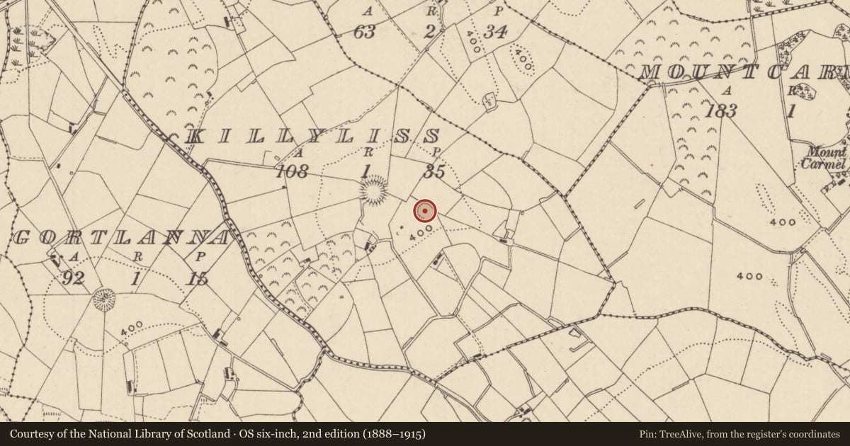 Ordnance Survey six-inch map, 2nd edition (1888–1915) covering the location of Ringfort - rath, Killyliss, County Monaghan, with a pin at the register's coordinates