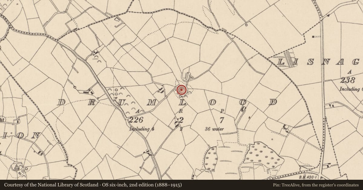 Ordnance Survey six-inch map, 2nd edition (1888–1915) covering the location of Ringfort - rath, Drumlood, County Monaghan, with a pin at the register's coordinates