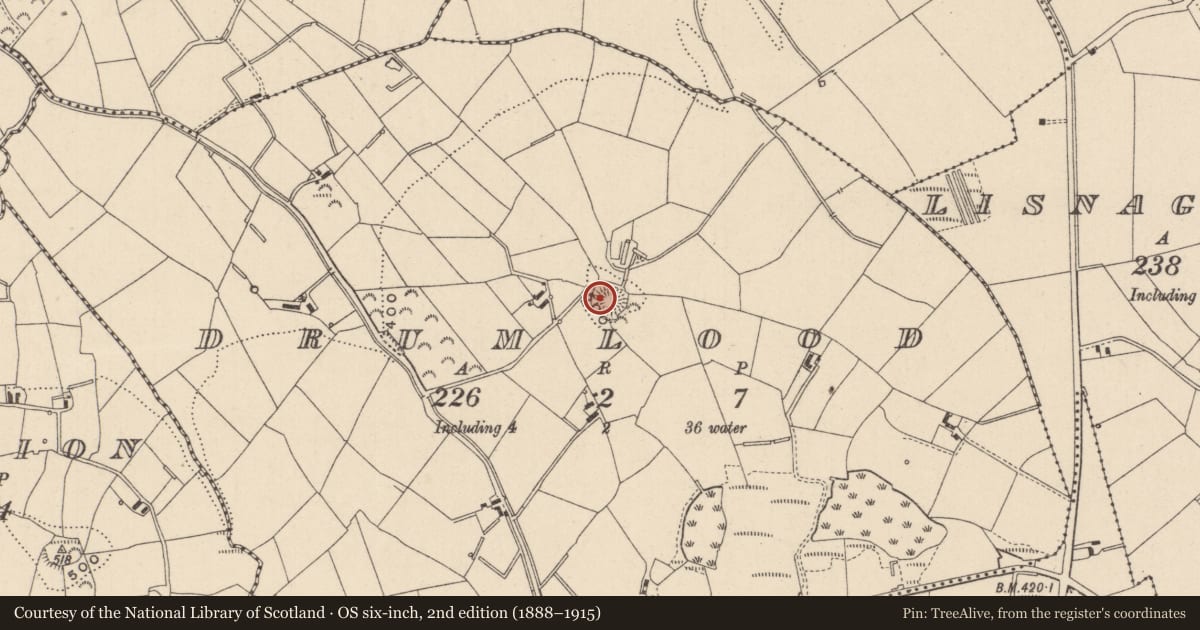 Ordnance Survey six-inch map, 2nd edition (1888–1915) covering the location of Souterrain, Drumlood, County Monaghan, with a pin at the register's coordinates