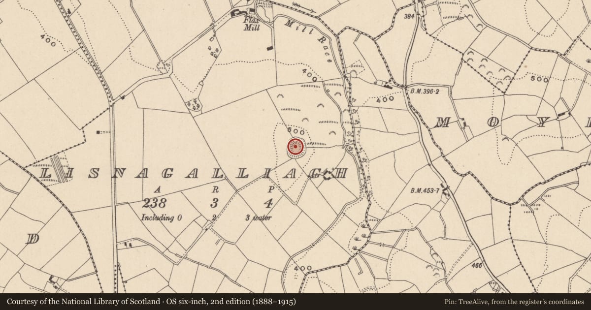 Ordnance Survey six-inch map, 2nd edition (1888–1915) covering the location of Ringfort - rath, Lisnagalliagh, County Monaghan, with a pin at the register's coordinates