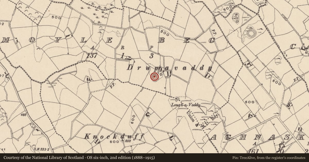 Ordnance Survey six-inch map, 2nd edition (1888–1915) covering the location of Ringfort - rath, Moyle Beg, County Monaghan, with a pin at the register's coordinates