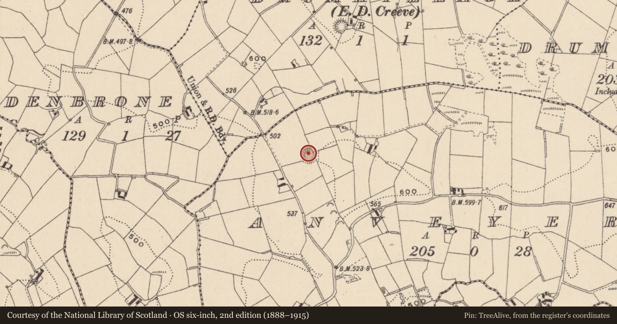 Ordnance Survey six-inch map, 2nd edition (1888–1915) covering the location of Ringfort - rath, Anveyerg, County Monaghan, with a pin at the register's coordinates