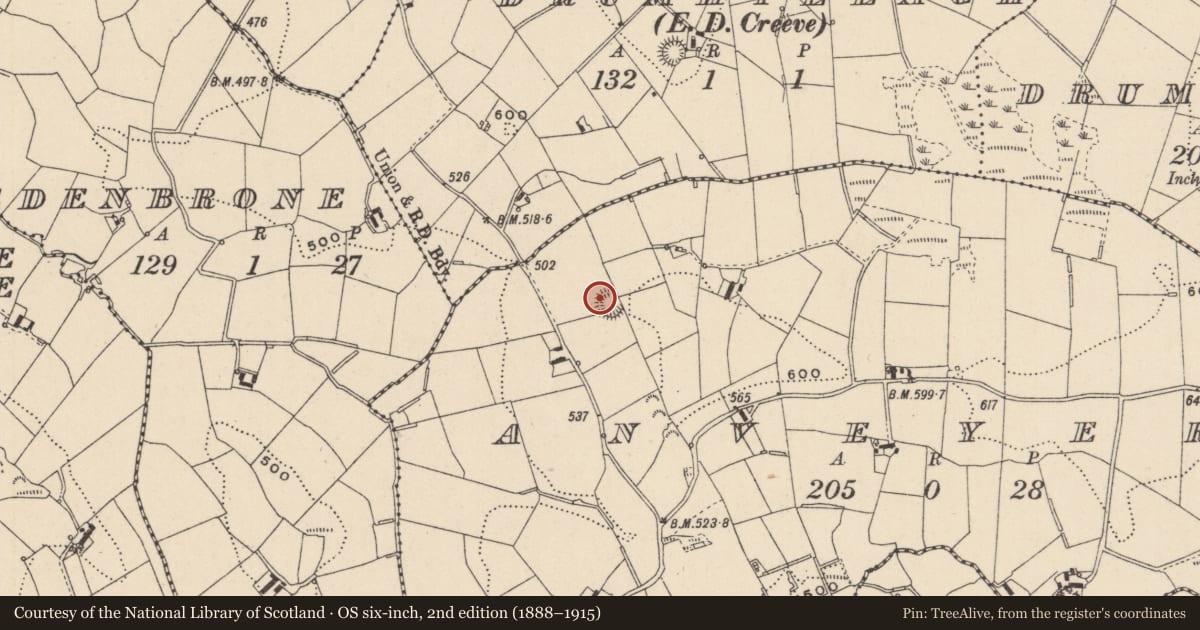 Ordnance Survey six-inch map, 2nd edition (1888–1915) covering the location of Souterrain, Anveyerg, County Monaghan, with a pin at the register's coordinates