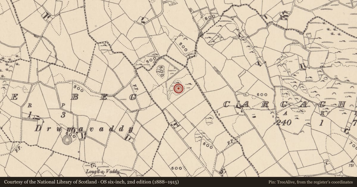 Ordnance Survey six-inch map, 2nd edition (1888–1915) covering the location of Ringfort - rath, Aghnaskew, County Monaghan, with a pin at the register's coordinates