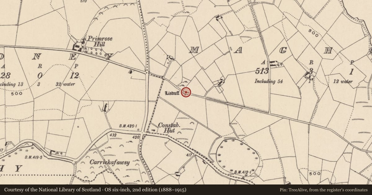 Ordnance Survey six-inch map, 2nd edition (1888–1915) covering the location of Ringfort - rath, Maghon, County Monaghan, with a pin at the register's coordinates