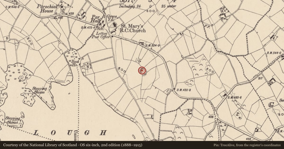 Ordnance Survey six-inch map, 2nd edition (1888–1915) covering the location of Ringfort - rath, Lisdrumcleve, County Monaghan, with a pin at the register's coordinates
