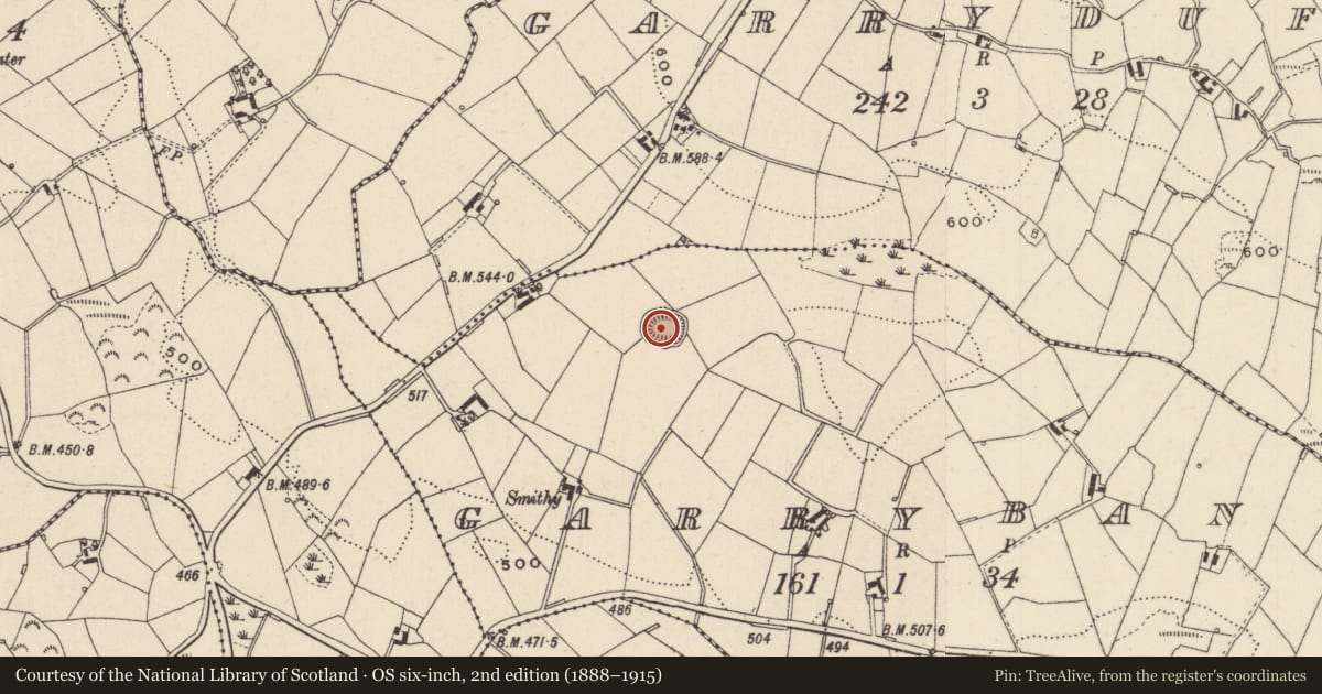 Ordnance Survey six-inch map, 2nd edition (1888–1915) covering the location of Ringfort - rath, Garrybane, County Monaghan, with a pin at the register's coordinates