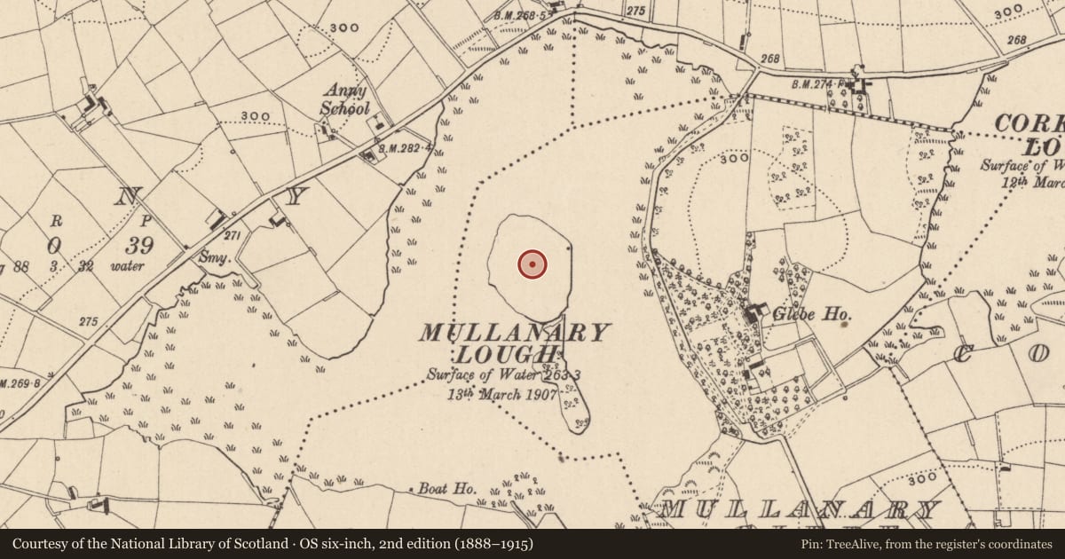 Ordnance Survey six-inch map, 2nd edition (1888–1915) covering the location of Habitation site, Mullanary Glebe, County Monaghan, with a pin at the register's coordinates
