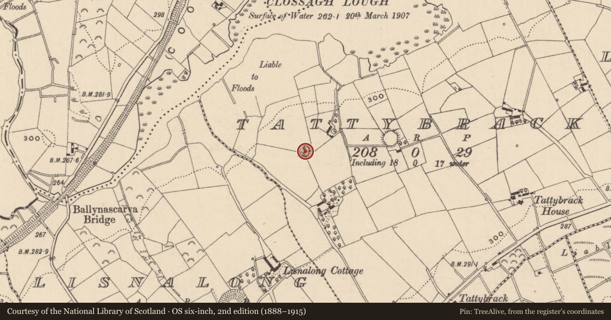 Ordnance Survey six-inch map, 2nd edition (1888–1915) covering the location of Ringfort - rath, Tattybrack, County Monaghan, with a pin at the register's coordinates