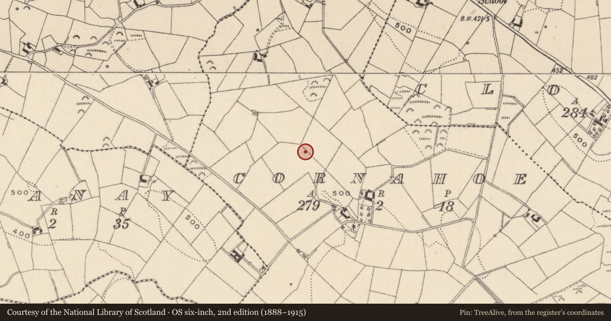 Ordnance Survey six-inch map, 2nd edition (1888–1915) covering the location of Ringfort - rath, Cornahoe, County Monaghan, with a pin at the register's coordinates