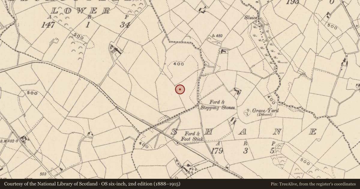 Ordnance Survey six-inch map, 2nd edition (1888–1915) covering the location of Megalithic tomb - court tomb, Drumguillew Lower, County Monaghan, with a pin at the register's coordinates