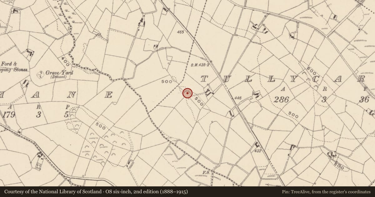 Ordnance Survey six-inch map, 2nd edition (1888–1915) covering the location of Ringfort - rath, Tullycarragh, County Monaghan, with a pin at the register's coordinates