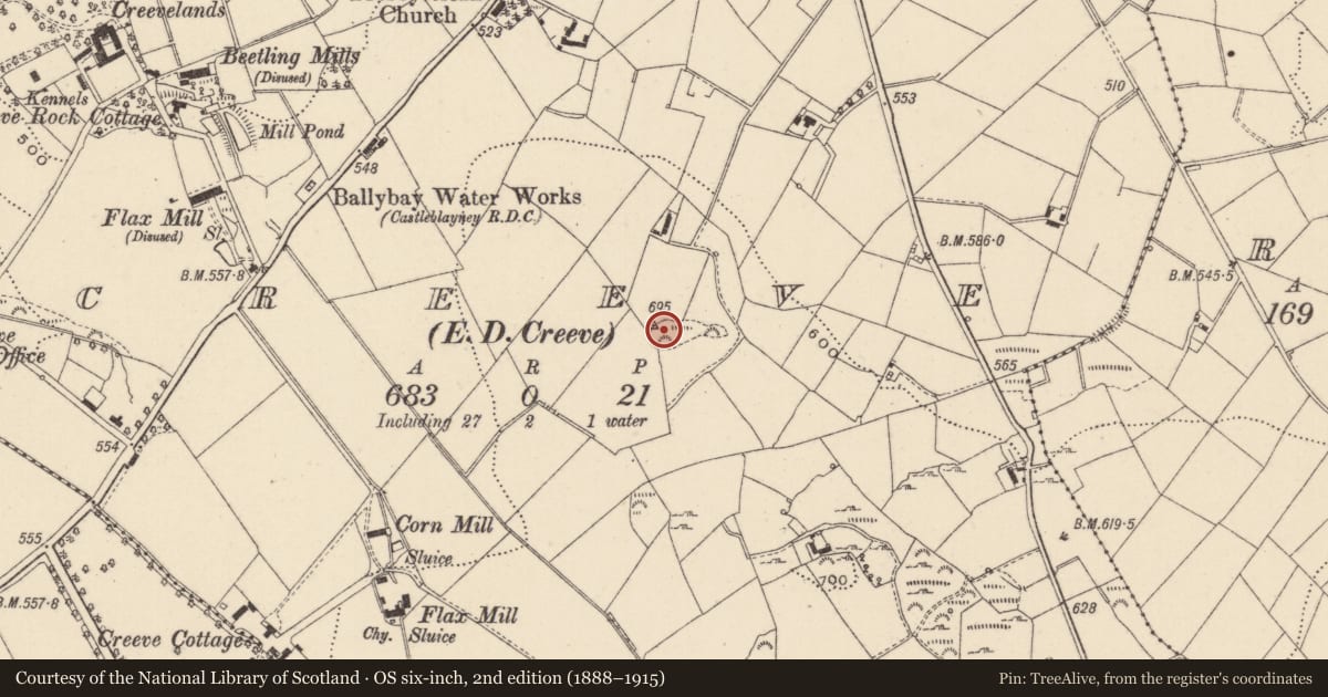 Ordnance Survey six-inch map, 2nd edition (1888–1915) covering the location of Ringfort - rath, Creeve (Cremorne By., Aghnamullen Par.), County Monaghan, with a pin at the register's coordinates