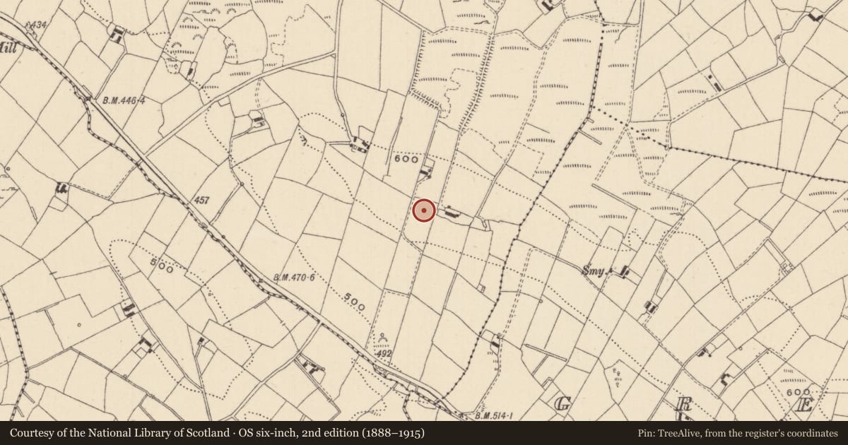 Ordnance Survey six-inch map, 2nd edition (1888–1915) covering the location of Ringfort - rath, Carrickinare, County Monaghan, with a pin at the register's coordinates