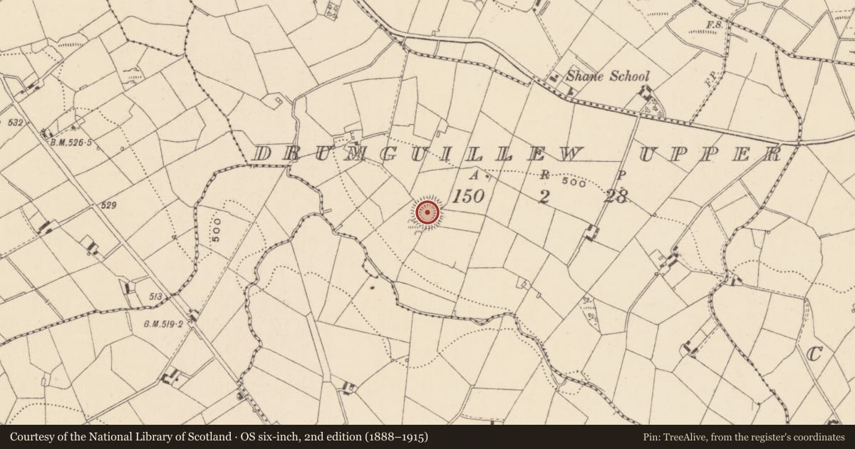 Ordnance Survey six-inch map, 2nd edition (1888–1915) covering the location of Hut site, Drumguillew Upper, County Monaghan, with a pin at the register's coordinates