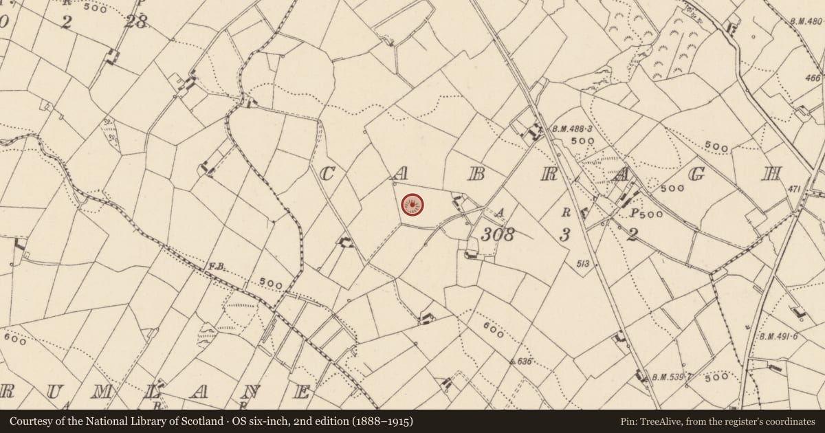 Ordnance Survey six-inch map, 2nd edition (1888–1915) covering the location of Enclosure, Cabragh, County Monaghan, with a pin at the register's coordinates