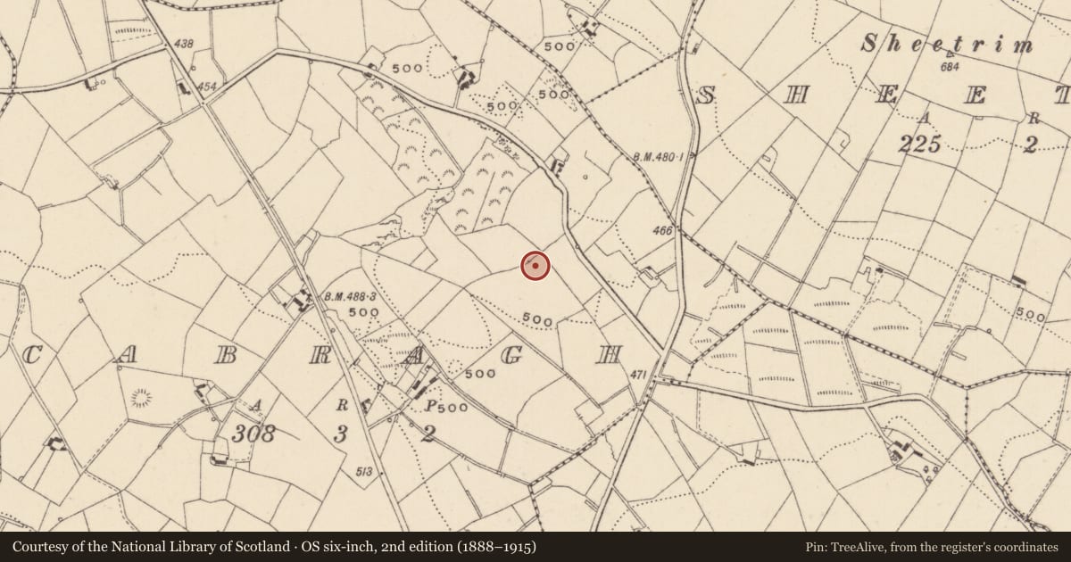 Ordnance Survey six-inch map, 2nd edition (1888–1915) covering the location of Cist, Cabragh, County Monaghan, with a pin at the register's coordinates