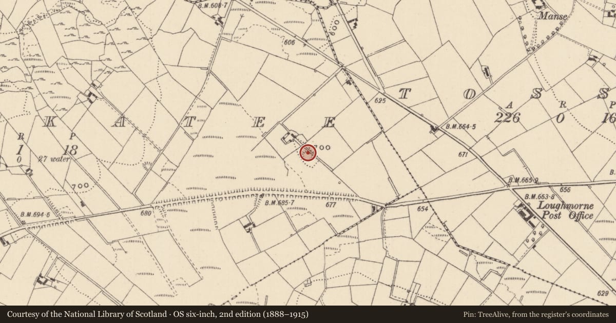 Ordnance Survey six-inch map, 2nd edition (1888–1915) covering the location of Ringfort - rath, Carrickatee, County Monaghan, with a pin at the register's coordinates