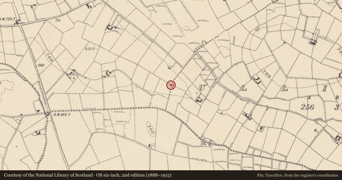 Ordnance Survey six-inch map, 2nd edition (1888–1915) covering the location of Ringfort - rath, Ullinagh, Carrickatee, County Monaghan, with a pin at the register's coordinates