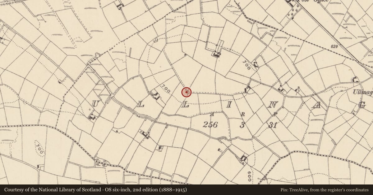 Ordnance Survey six-inch map, 2nd edition (1888–1915) covering the location of Ringfort - rath, Ullinagh, County Monaghan, with a pin at the register's coordinates