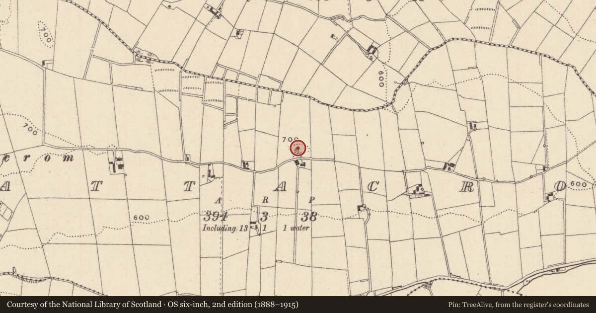 Ordnance Survey six-inch map, 2nd edition (1888–1915) covering the location of Ringfort - rath, Lattacrom, County Monaghan, with a pin at the register's coordinates