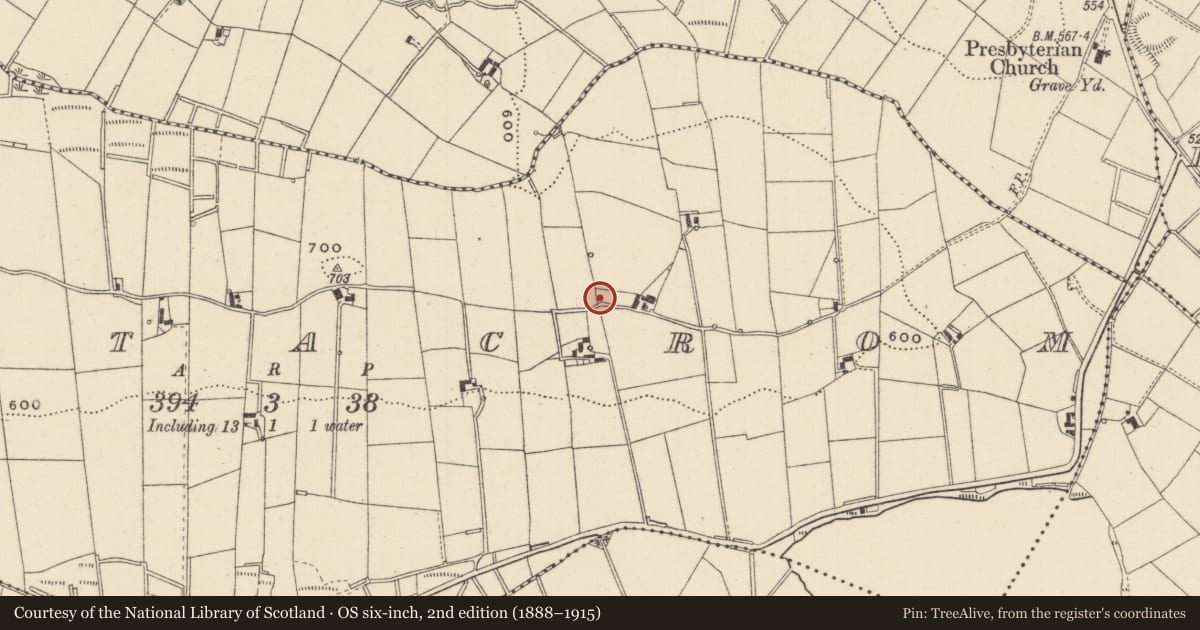 Ordnance Survey six-inch map, 2nd edition (1888–1915) covering the location of Ringfort - rath, Lattacrom, County Monaghan, with a pin at the register's coordinates