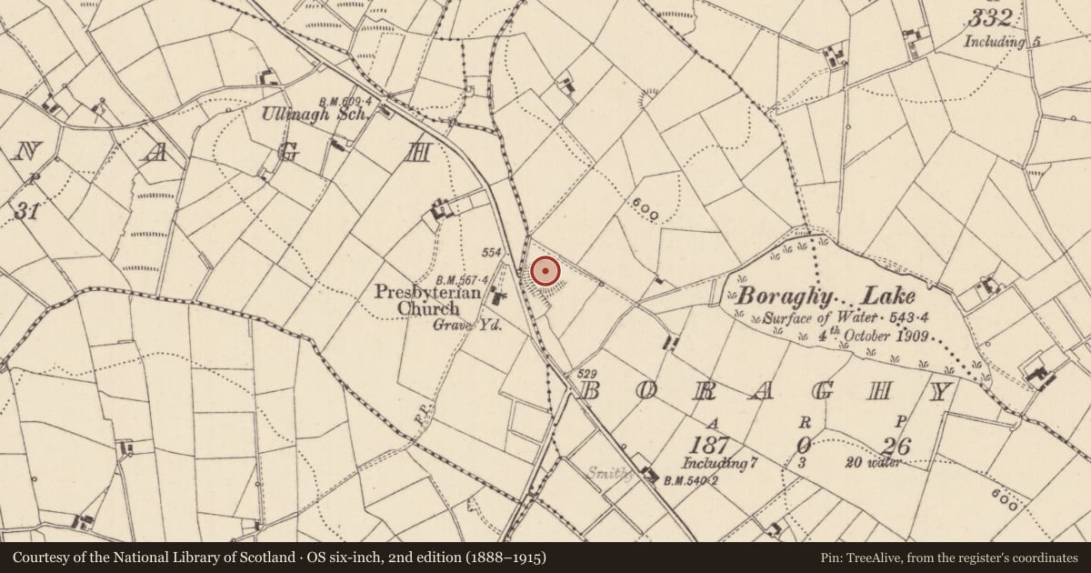 Ordnance Survey six-inch map, 2nd edition (1888–1915) covering the location of Ringfort - rath, Boraghy, County Monaghan, with a pin at the register's coordinates