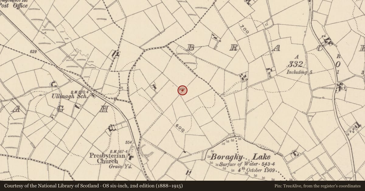 Ordnance Survey six-inch map, 2nd edition (1888–1915) covering the location of Ringfort - rath, Boraghy, County Monaghan, with a pin at the register's coordinates