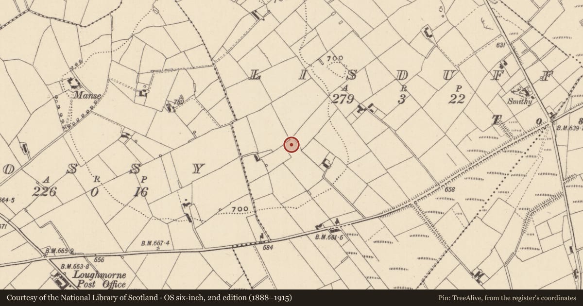 Ordnance Survey six-inch map, 2nd edition (1888–1915) covering the location of Ringfort - rath, Lisduff, County Monaghan, with a pin at the register's coordinates