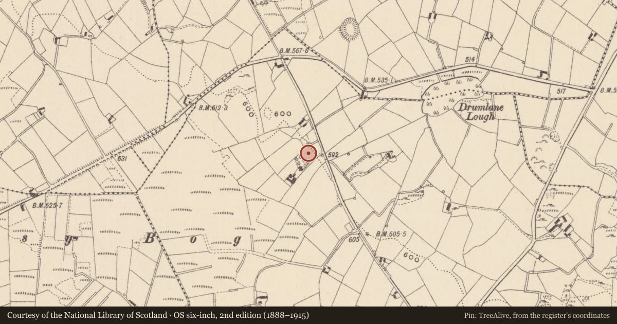Ordnance Survey six-inch map, 2nd edition (1888–1915) covering the location of Ringfort - rath, Tullynahinnera, County Monaghan, with a pin at the register's coordinates