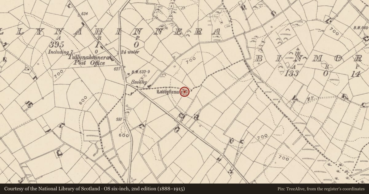 Ordnance Survey six-inch map, 2nd edition (1888–1915) covering the location of Cist, Lattonfasky, County Monaghan, with a pin at the register's coordinates