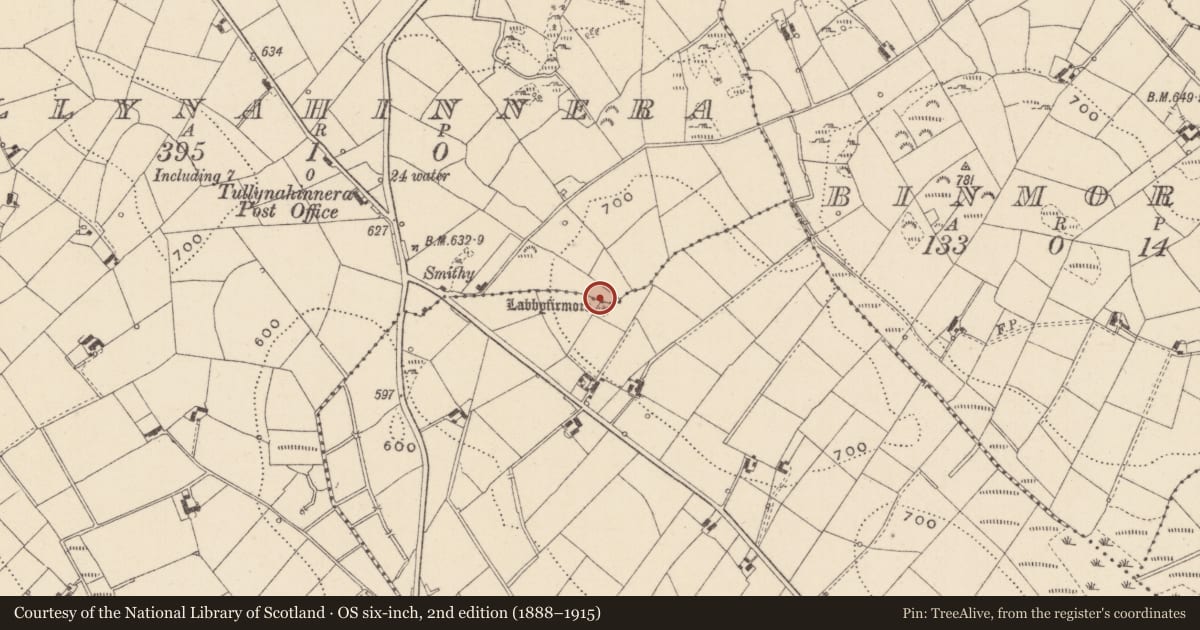 Ordnance Survey six-inch map, 2nd edition (1888–1915) covering the location of Cist, Lattonfasky, County Monaghan, with a pin at the register's coordinates